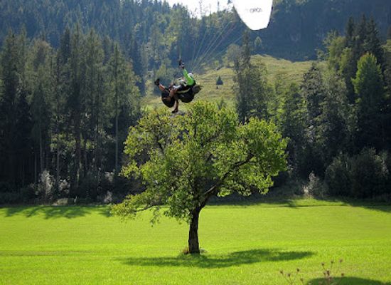 austria/pinzgau/attraction/alter-kirschbaum