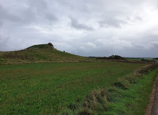denmark/thy-national-park/attraction/brendhoj-gravhoj