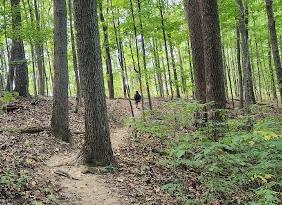 indiana/brown-county-state-park/attraction/brown-county-state-park-taylor-ridge