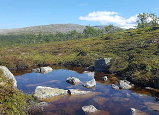 sweden/svealand/attraction/sonfjallet-national-park