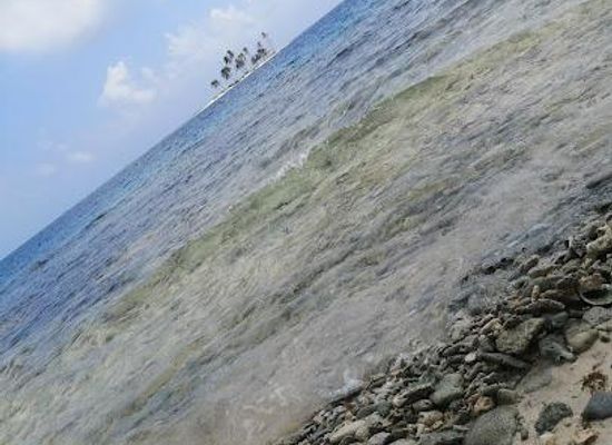 panama/panama-city/attraction/isla-pelican