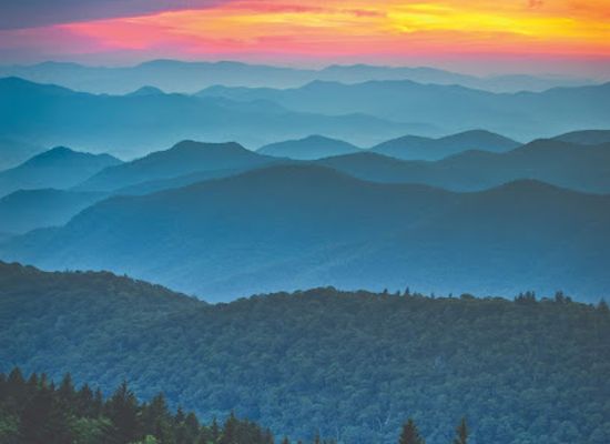 tennessee/great-smoky-mountains/attraction/topjump-trampoline-extreme-arena