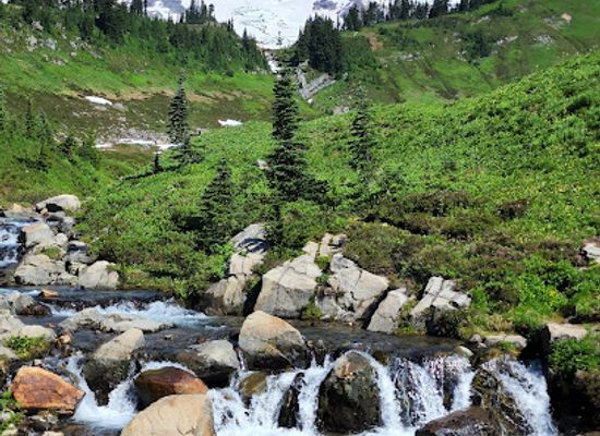 washington/southwest-washington/attraction/mount-rainier-national-park