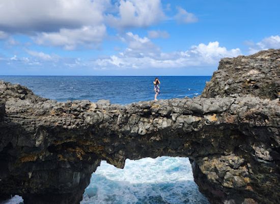 mauritius/rodrigues/attraction/pont-naturel