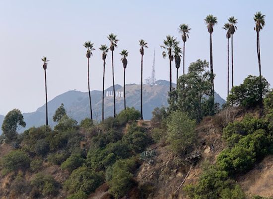 california/los-angeles-county/attraction/hollywood-peak
