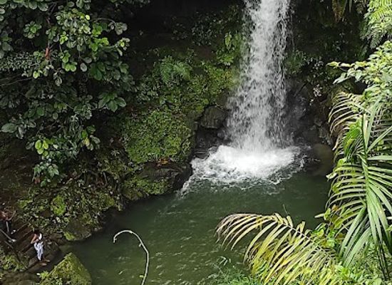 dominica/la-plaine/attraction/coco-cascades