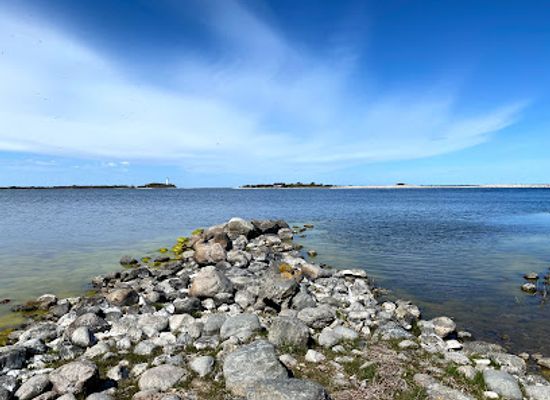 sweden/oland/attraction/trollskogen
