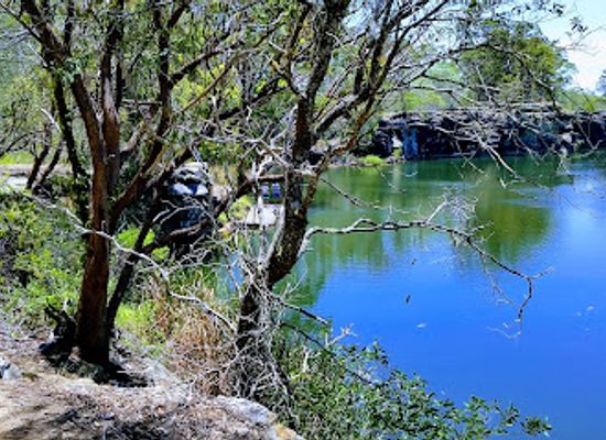 australia/northern-rivers/attraction/broadwater-national-park