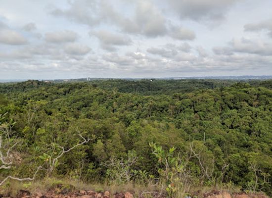 brunei/mukim-labu/attraction/bukit-shahbandar-forest-recreation-park