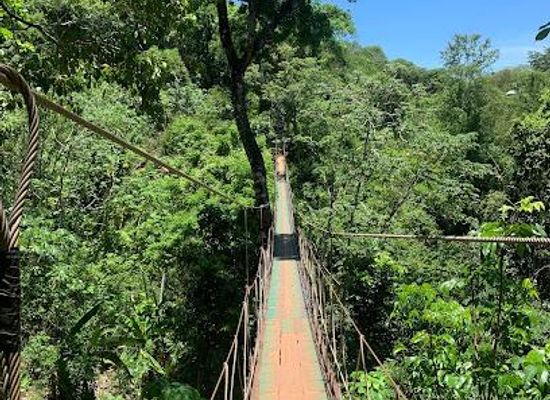 honduras/roatan/attraction/mayan-eden