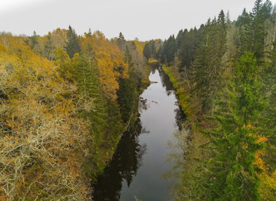 latvia/abava-river-valley/attraction/devils-stone
