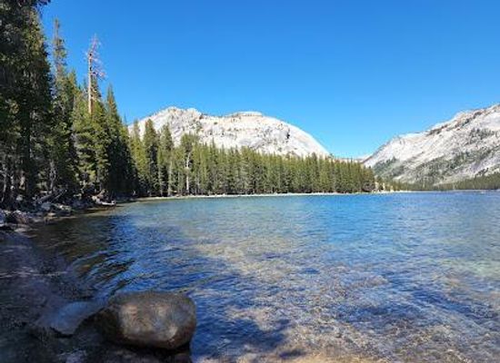 california/yosemite/attraction/tenaya-lake