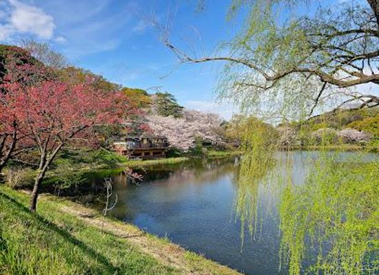 japan/tokyo/attraction/mitsuike-park