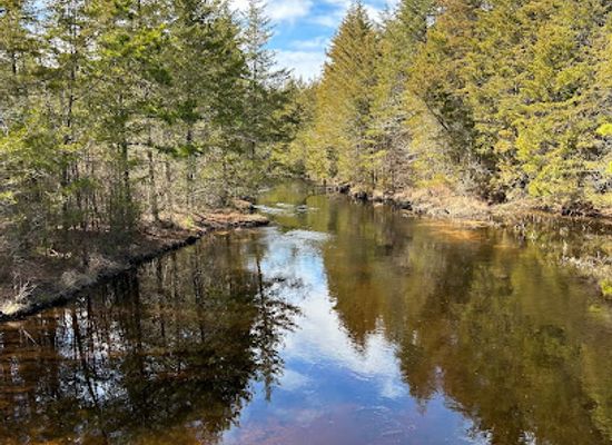 new-jersey/pine-barrens/attraction/double-trouble-state-park