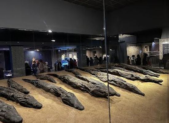 egypt/aswan/attraction/crocodile-museum