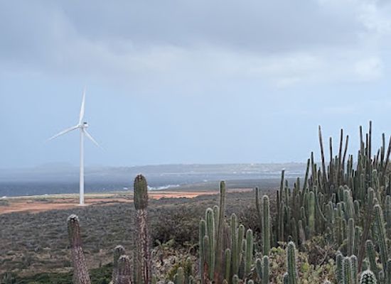 curacao/tera-kora/attraction/mirador-tera-kora