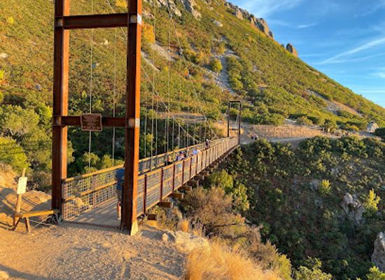 utah/wasatch-range/attraction/bear-canyon-suspension-bridge