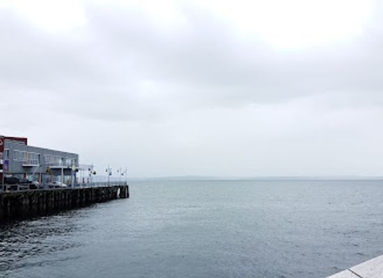 washington/puget-sound/attraction/seattle-art-museum