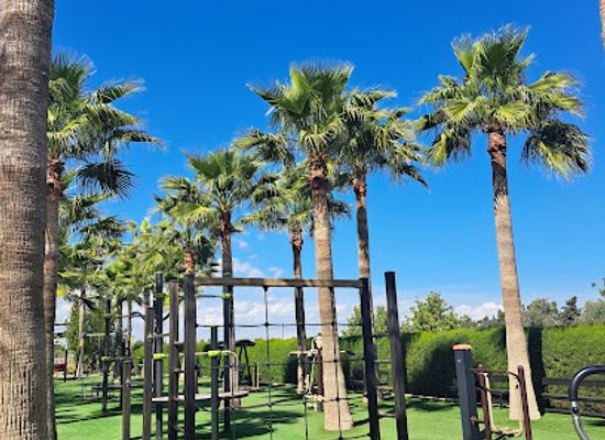 cyprus/machairas-forest/attraction/camel-park