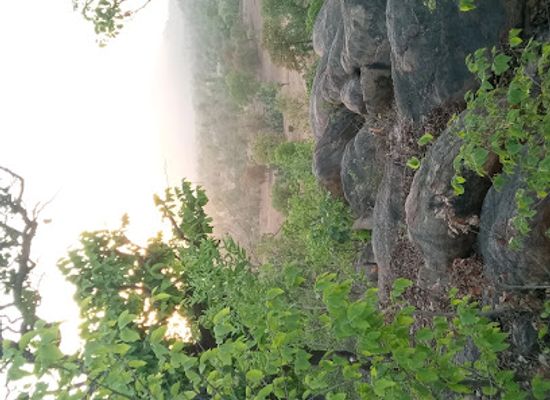 india/madhya-pradesh/attraction/mahendr-mehda
