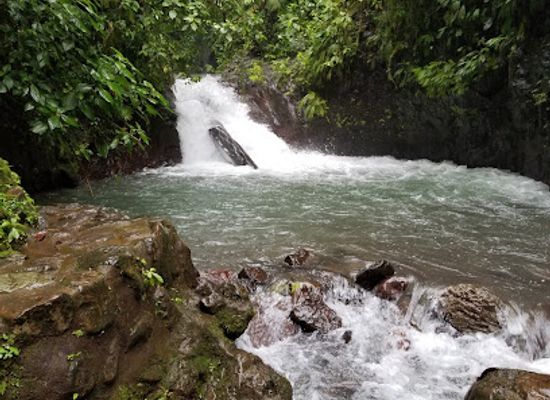 costa-rica/manuel-antonio/attraction/rainmaker