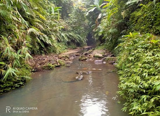 bangladesh/srimangal/attraction/lasuban-gorge