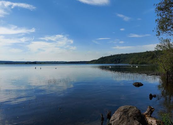 ireland/county-longford/attraction/derrycassin-woods-walk-and-playground