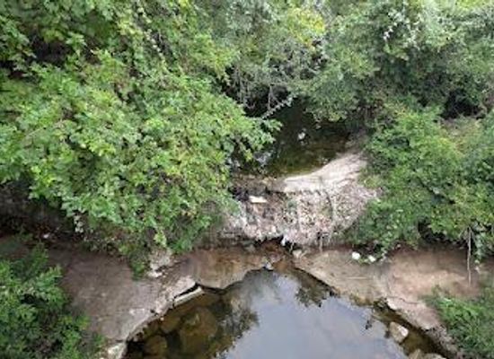 texas/central-texas/attraction/east-boggy-creek-greenbelt