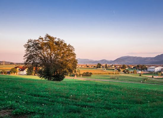 slovenia/savinja/attraction/senek-mansion