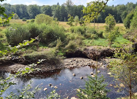 belgium/hautes-fagnes/attraction/naturzentrum-haus-ternell