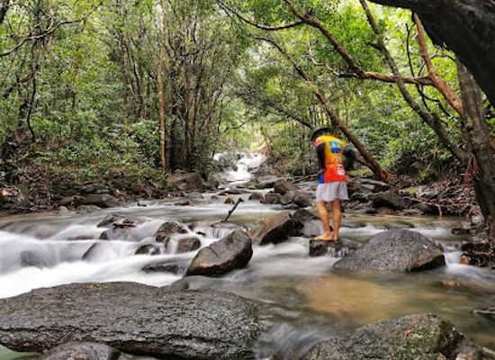 thailand/ranong/attraction/namtok-ngao-national-park