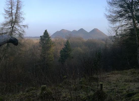 united-kingdom/down/attraction/addiewell-bing-nature-reserve