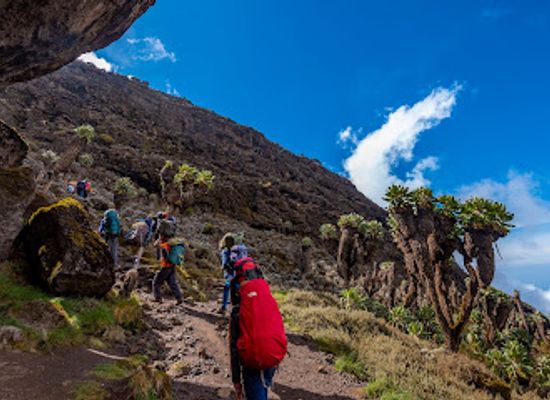 tanzania/mount-kilimanjaro/attraction/barranco-wall
