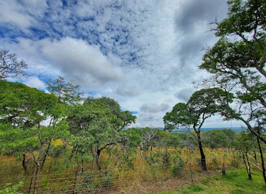 zambia/lusaka-national-park/attraction/happy-valley