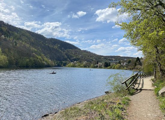 germany/eifel-national-park/attraction/dschungelpfad-heimbach