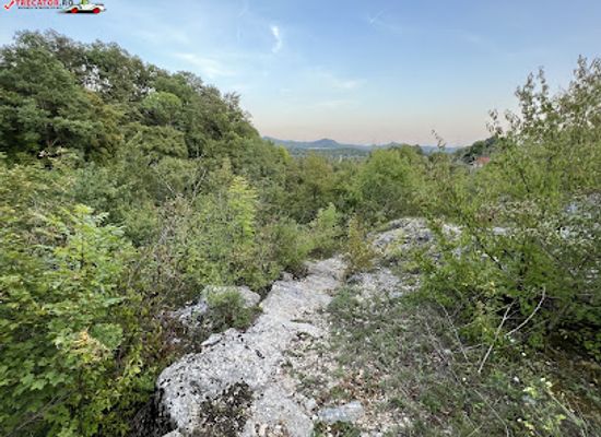 romania/salaj/attraction/pestera-lii