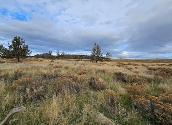 oregon/crook-county/attraction/barnes-butte-trailhead