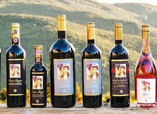 italy/florence/attraction/fattoria-di-montemaggio