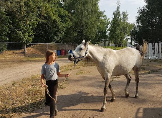 estonia/tartu-county/attraction/tartu-ratsakool
