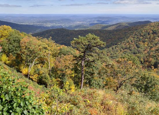 virginia/skyline-drive/attraction/hazel-mountain-overlook