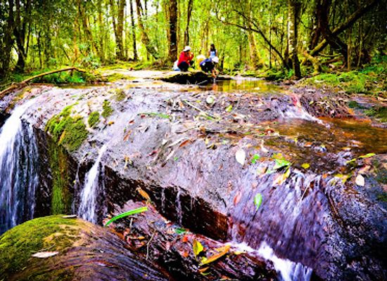 thailand/phu-kradueng/attraction/than-sawan-waterfall