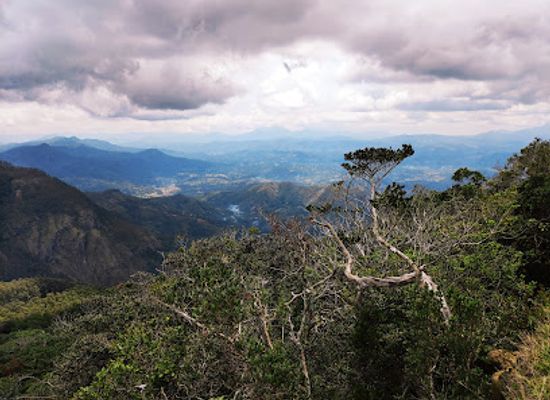 sri-lanka/nuwara-eliya-district/attraction/moon-plains-ticket-counter