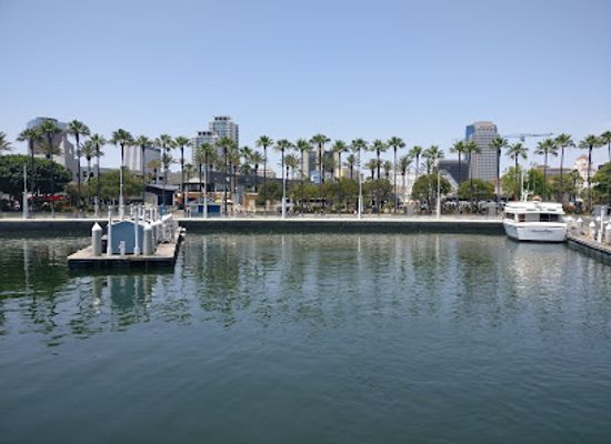 california/long-beach/attraction/aquarium-of-the-pacific
