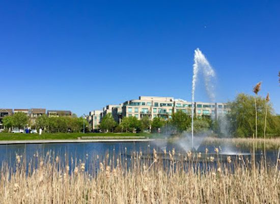 canada/greater-toronto-area/attraction/woodbine-park