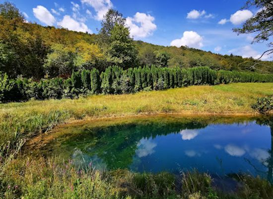 croatia/moslavina/attraction/izvor-bistrac-mreznica