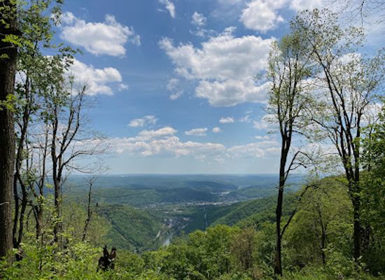 pennsylvania/appalachian-mountains/attraction/laurel-ridge-state-park
