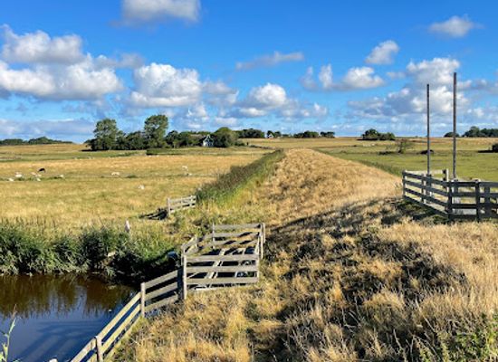netherlands/texel-island/attraction/high-mountain-texel