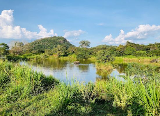 sri-lanka/cultural-triangle/attraction/sri-lanka-jeep-safari