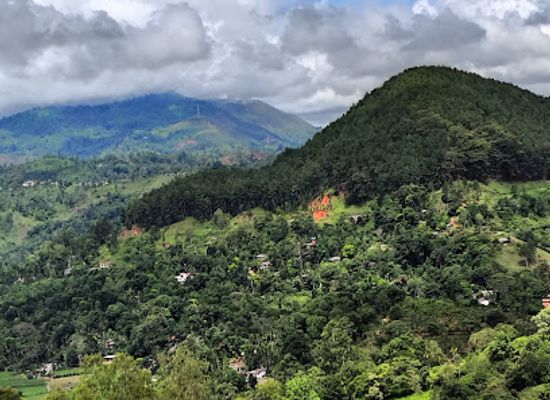 sri-lanka/ella/attraction/ella-tuk-tuk-tours-with-dilshan