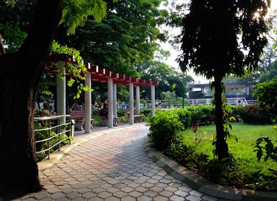 india/chennai/t-nagar/attraction/dr-natesan-park